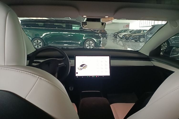 Tesla Model 3 2021 #10 Tesla Model 3 2021 car image #10