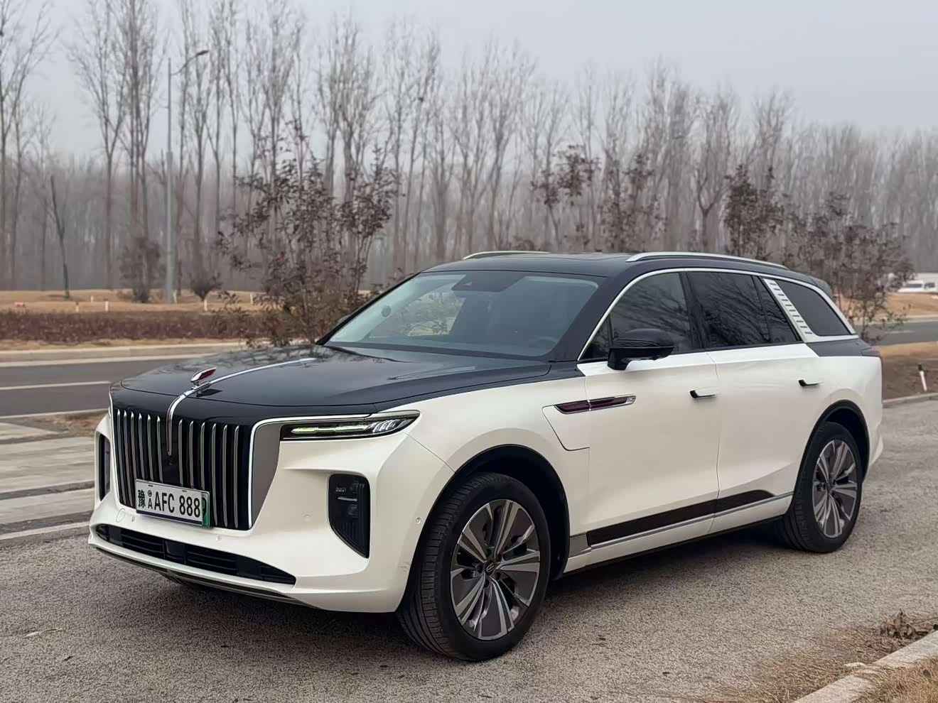 HongQi E-HS9 2021 car image 