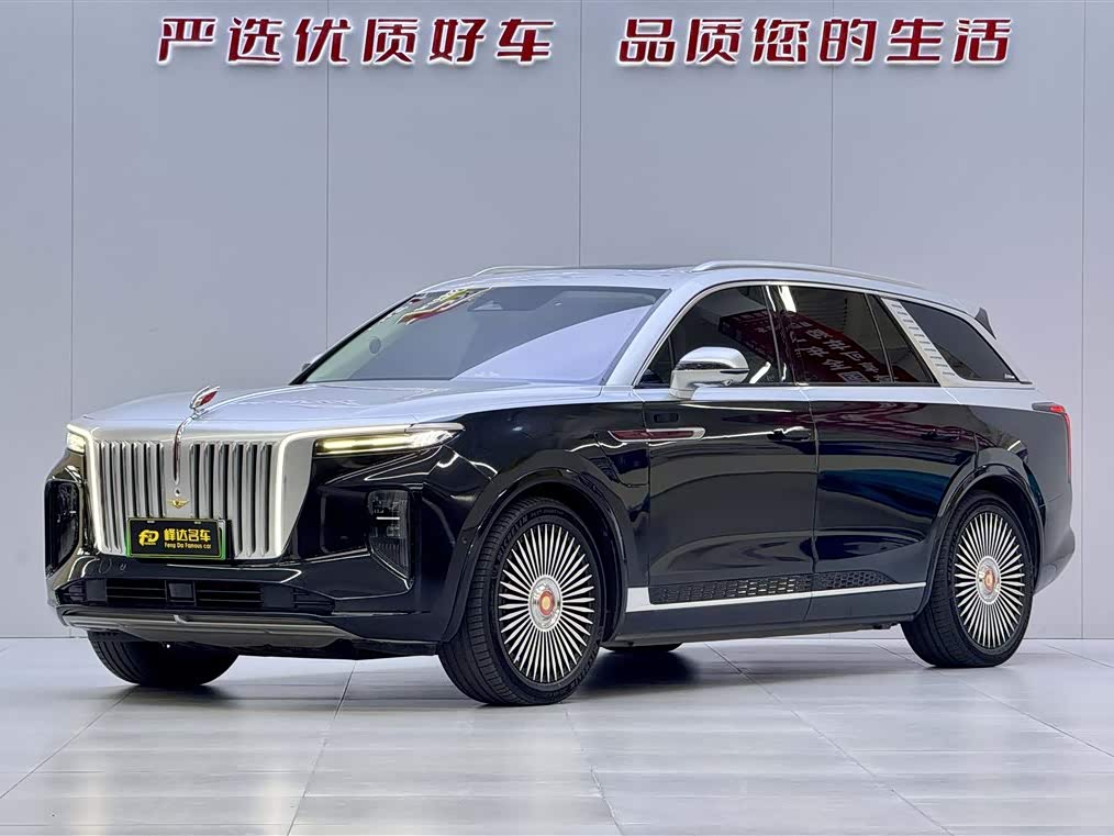 HongQi E-HS9 2021 car image 