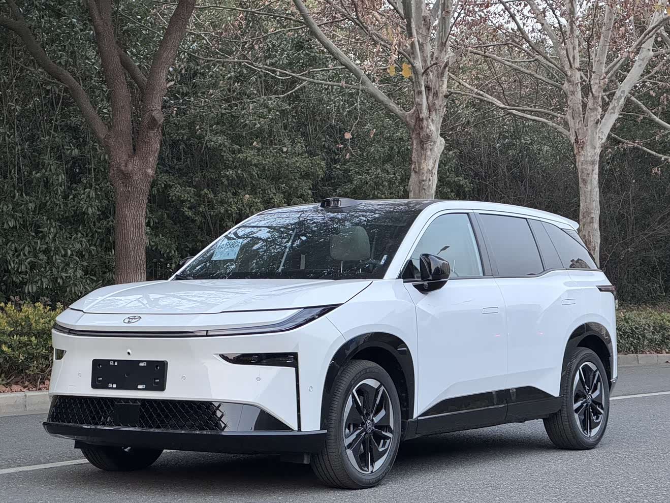 Toyota Bozhi 3X 2025 汽车图片 