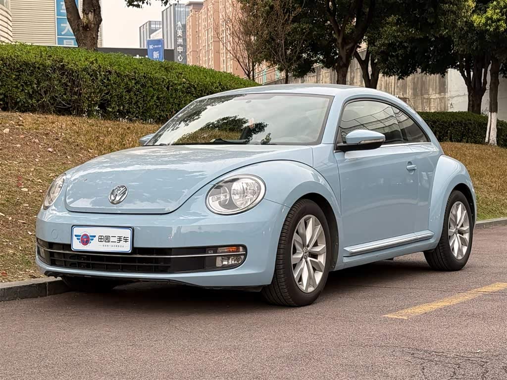 Volkswagen Beetle 2014 изображение автомобиля 