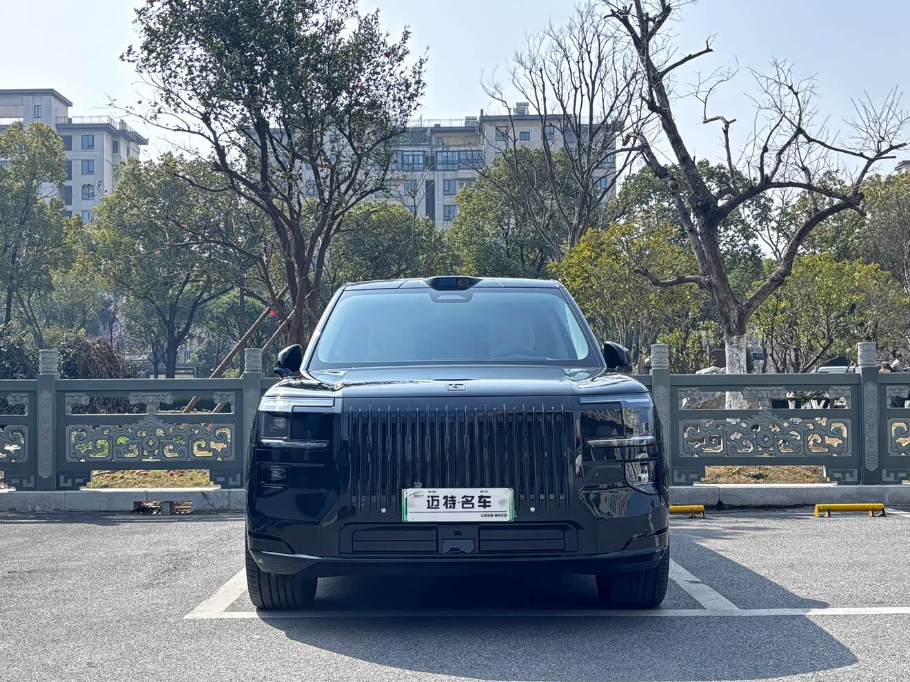 Zeekr 9X 2025 汽车图片 