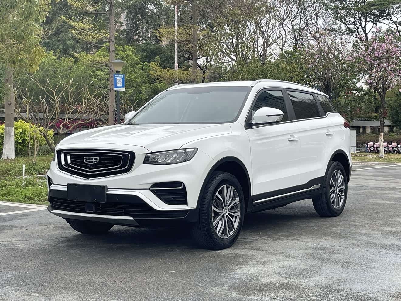 GEELY Boyue 2020 汽车图片 