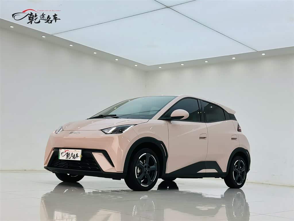 BYD Seagull 2024 immagine di auto 