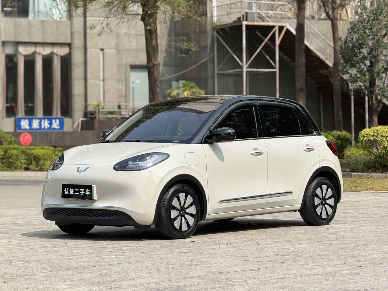 Wuling Binguo 2023 汽车图片 