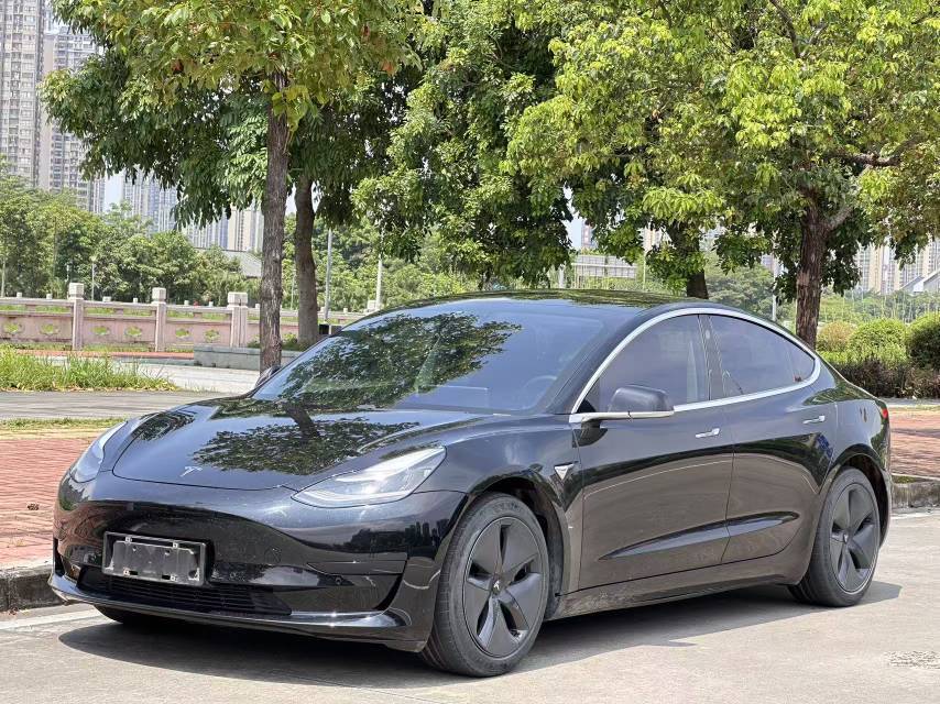 Tesla Model 3 2020 Tesla Model 3 2020 car image