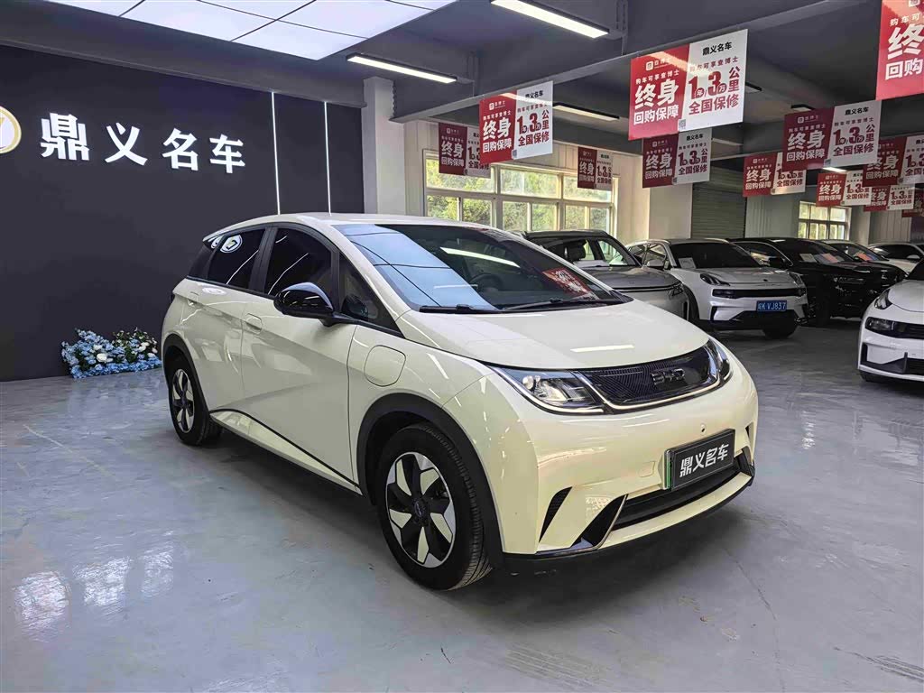 BYD Dolphin 2024 صورة سيارة 