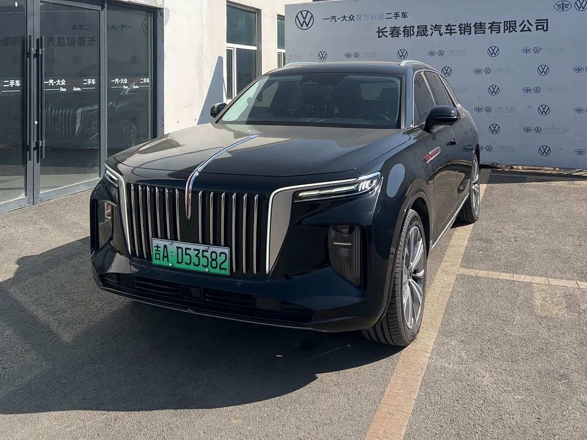 HongQi E-HS9 2023 car image 