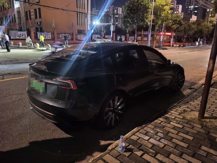 Tesla Model 3 2025 immagine di auto #2