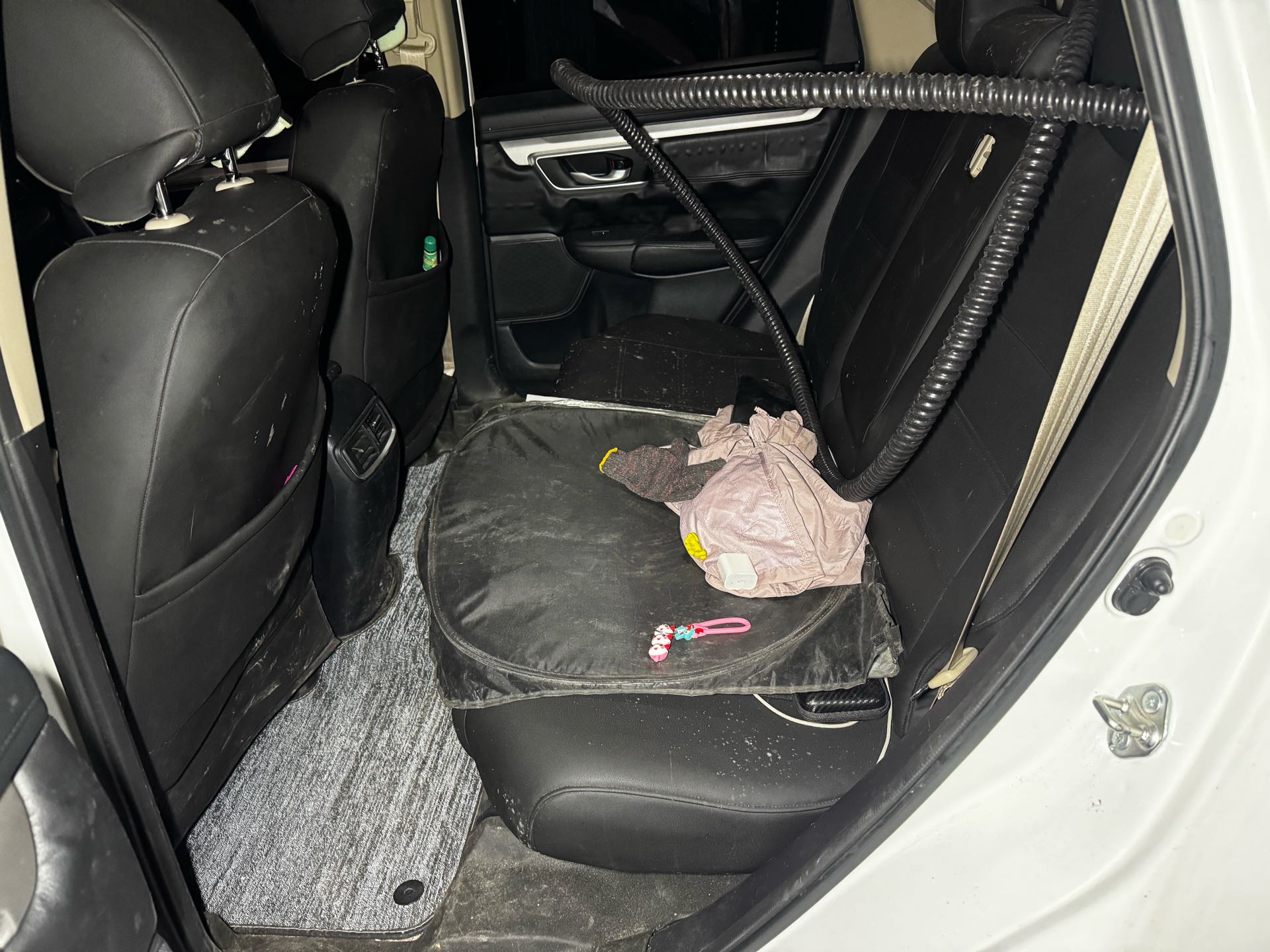 2019 #6 2019 car image #6