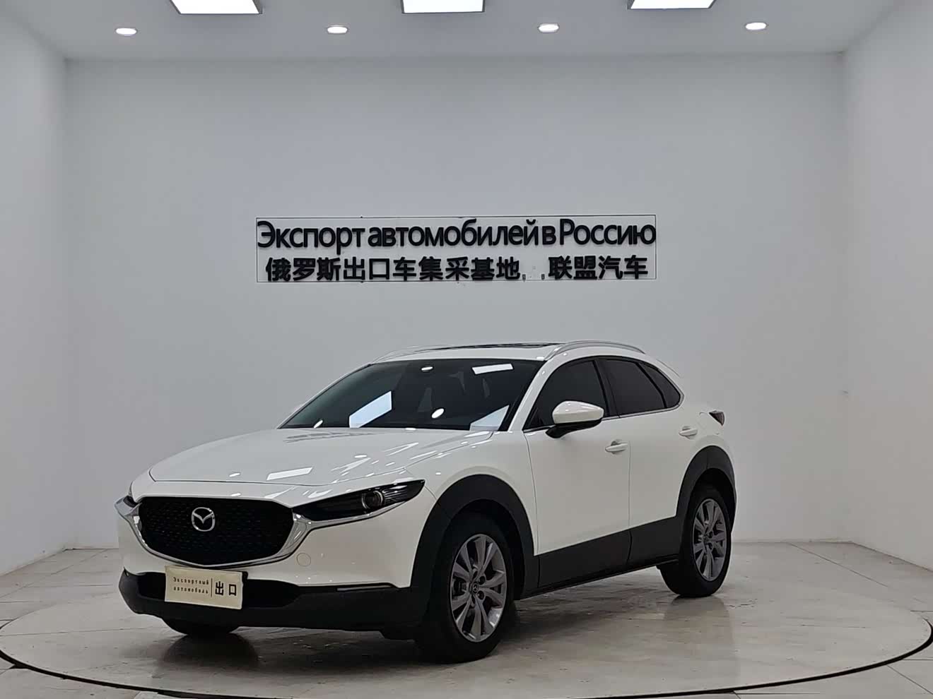 Mazda CX-30 2021 汽车图片 