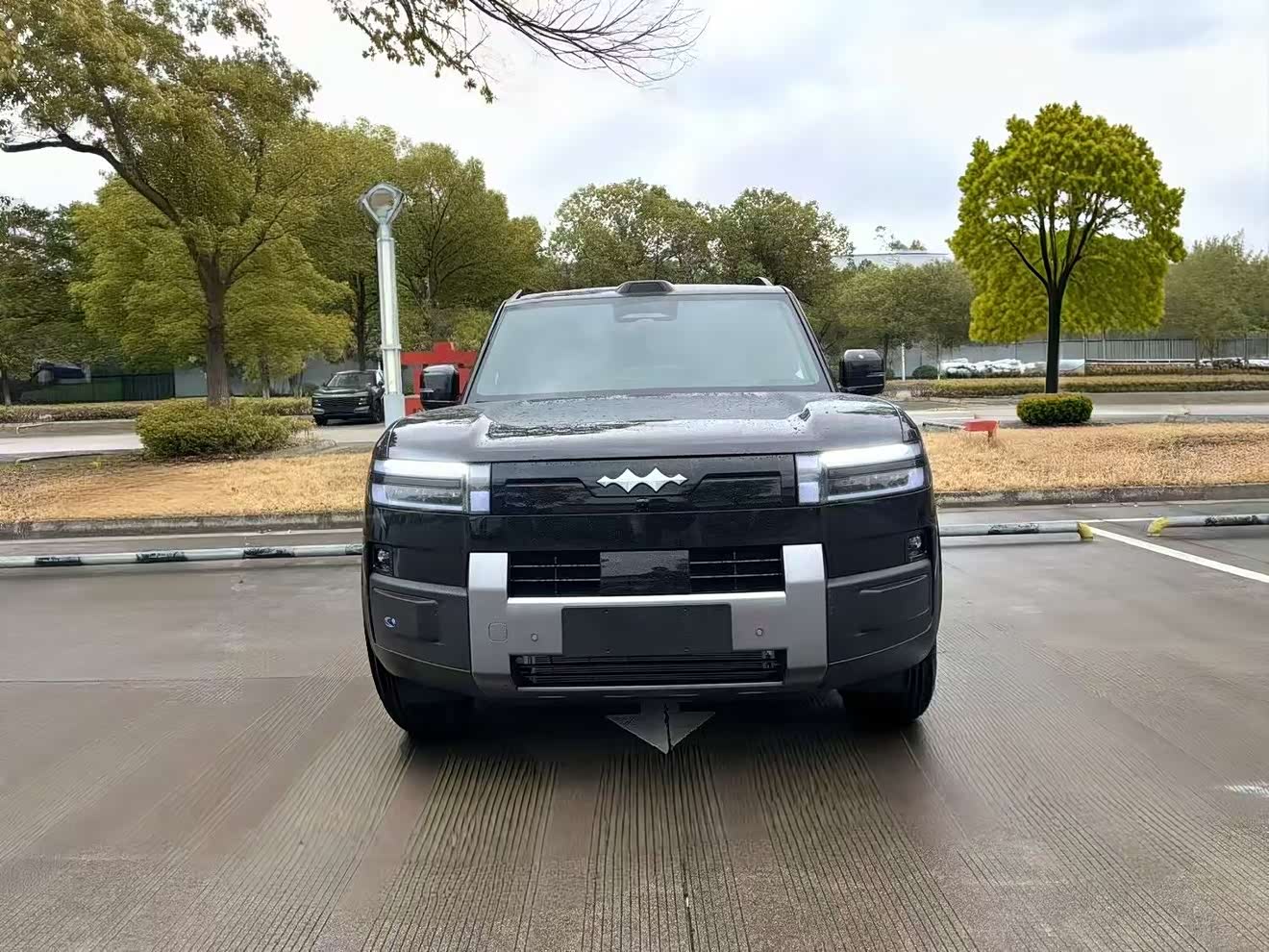 FangChengBao Tiger 7 immagine di auto 