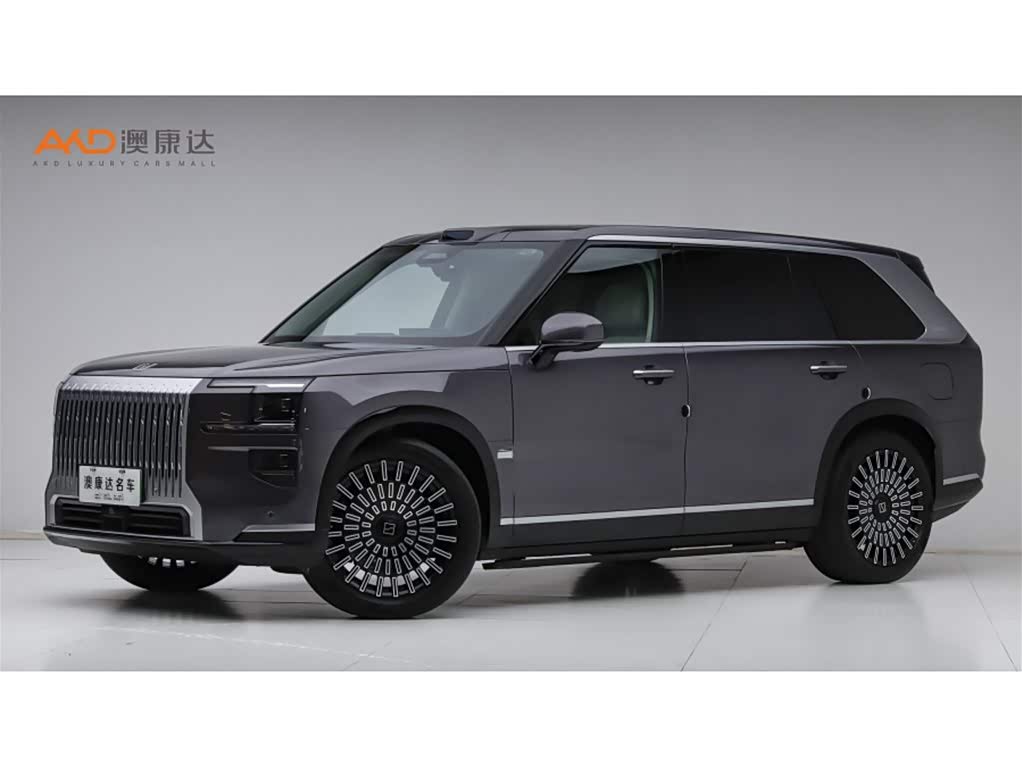 Zeekr 9X 2025 汽车图片 
