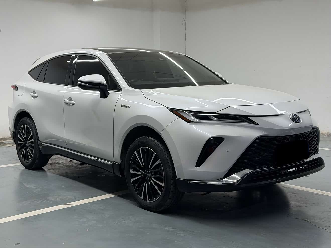 Toyota Venza 2023 汽车图片 