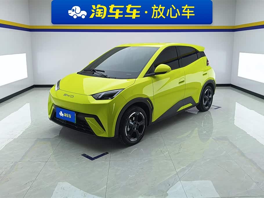 BYD Seagull 2024 immagine di auto 