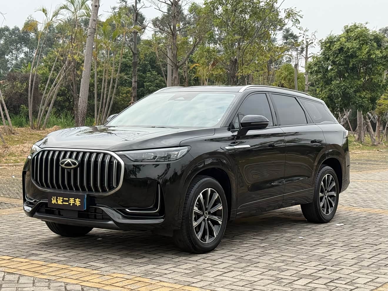 Chery Tiggo 9 2023 汽车图片 