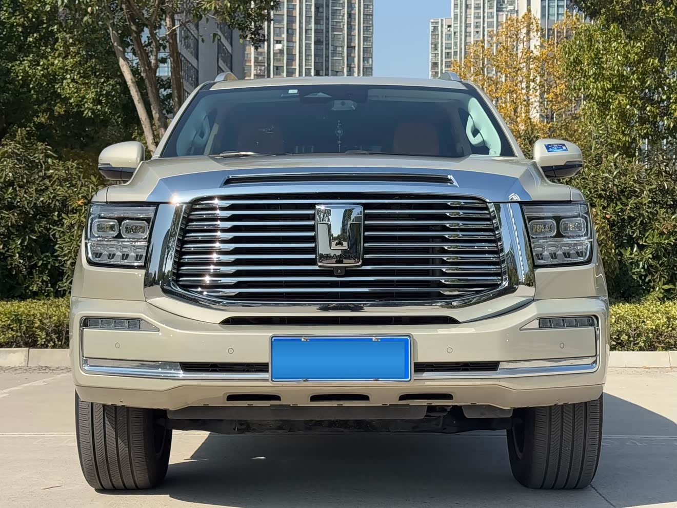 Tank 500 2022 汽车图片 