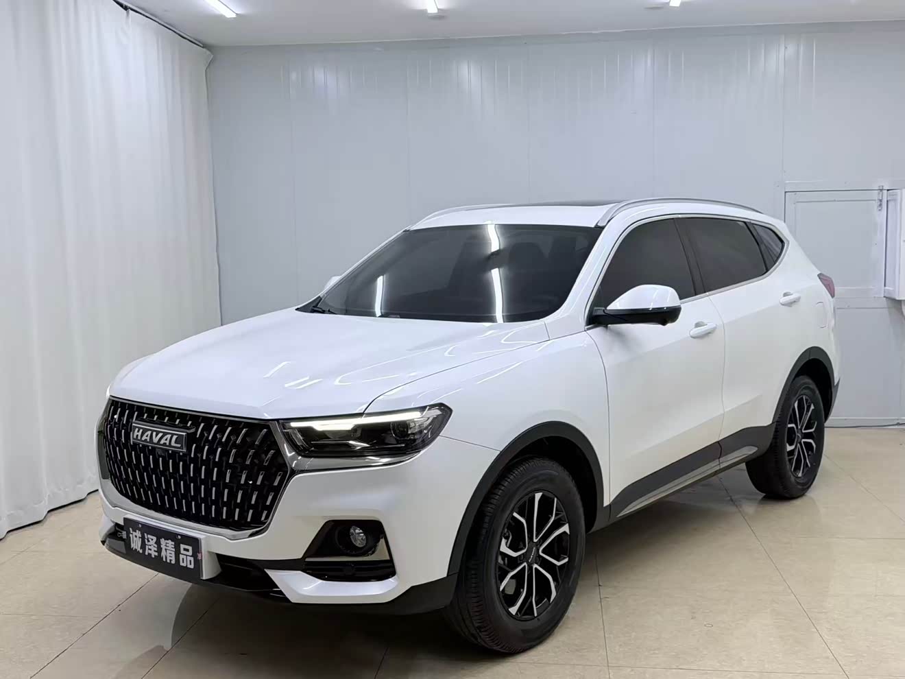 Haval H6 2023 汽车图片 