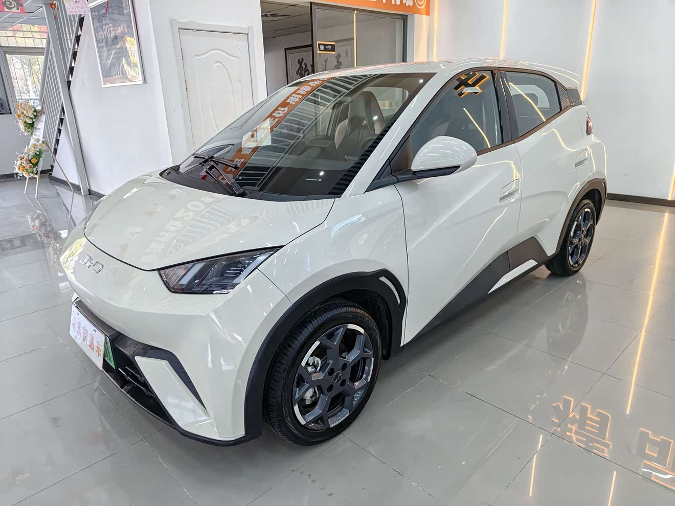 BYD Seagull 2025 immagine di auto 