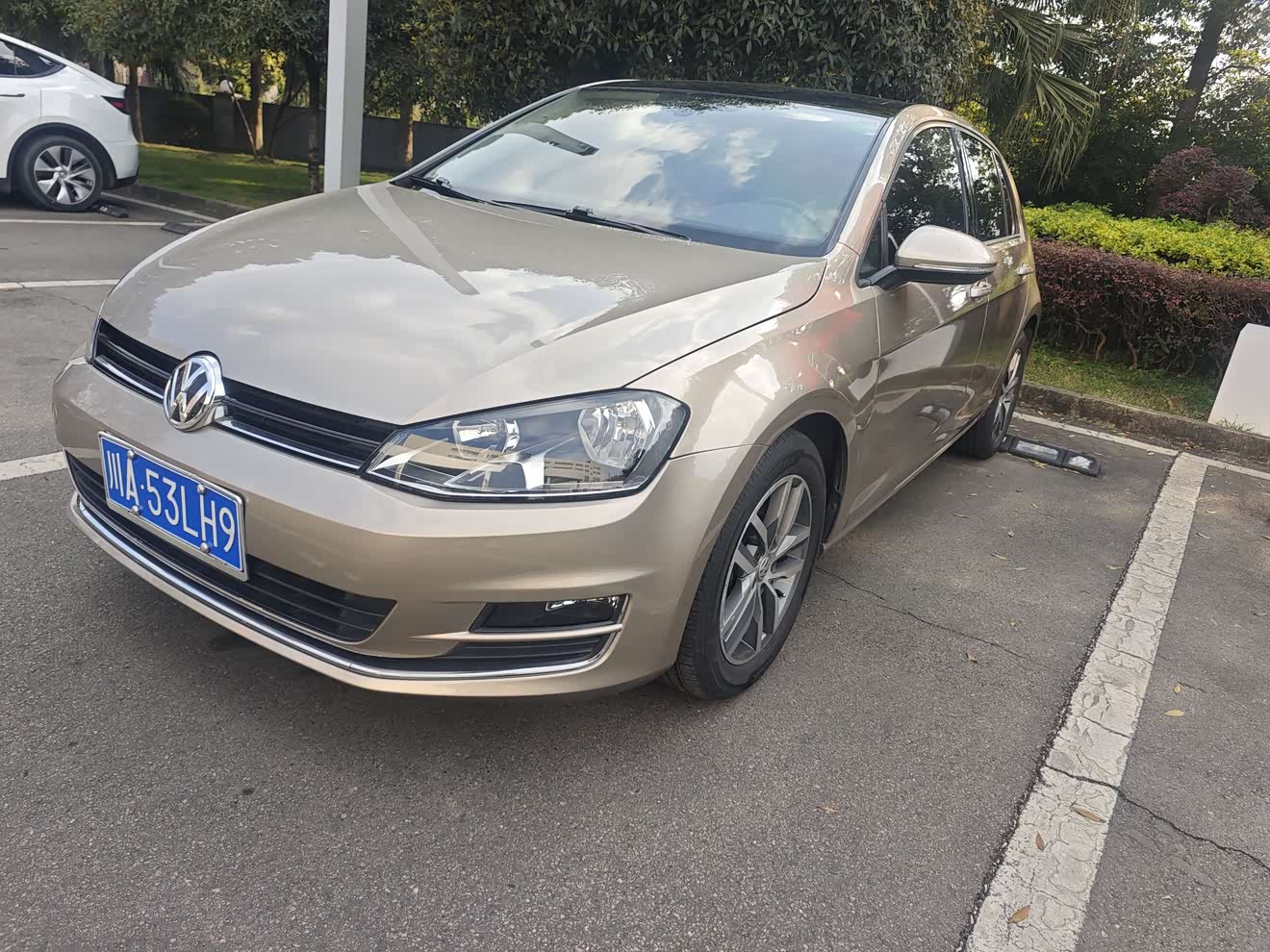 Volkswagen Golf 2015 car image 