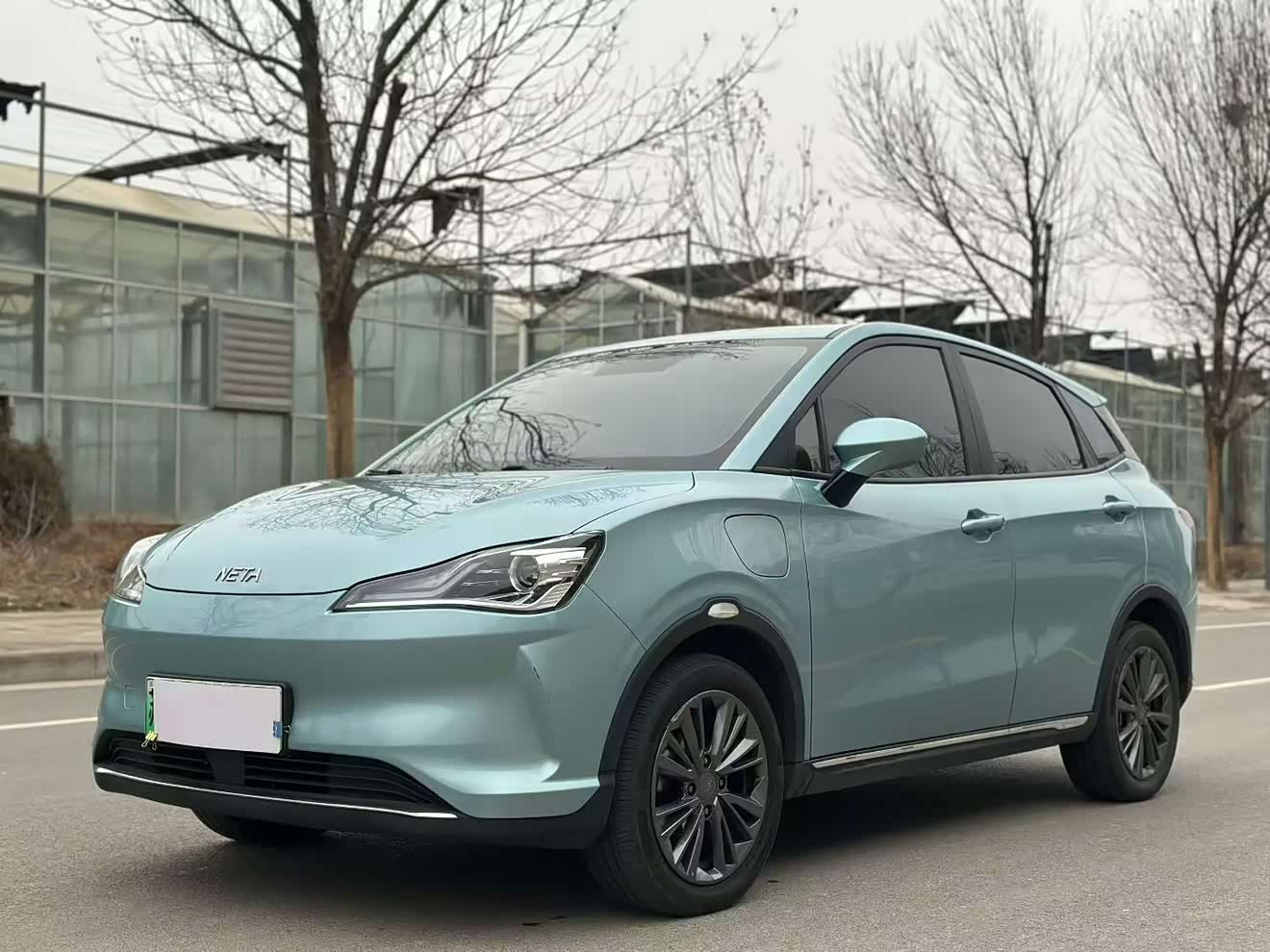 Neta V 2021 汽车图片 