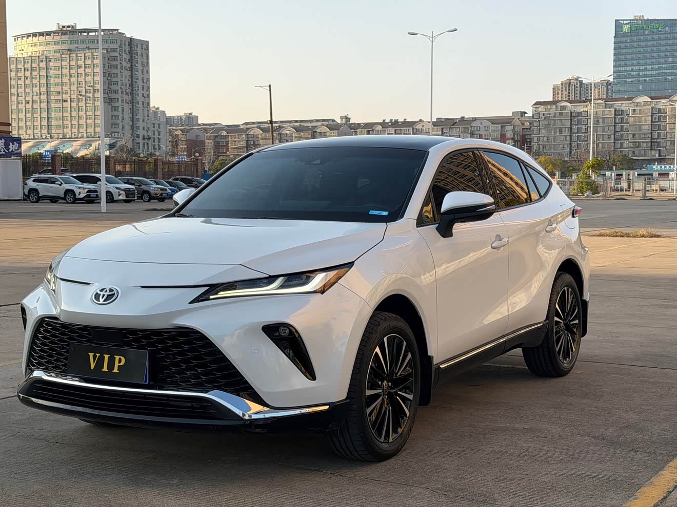 Toyota Venza 2022 汽车图片 