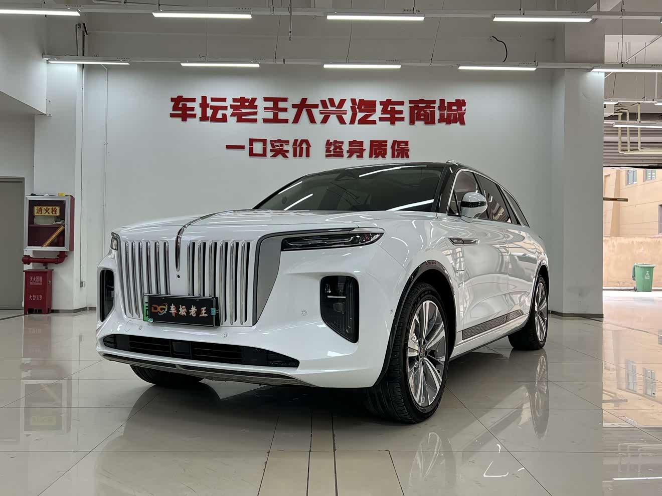 HongQi E-HS9 2023 car image 
