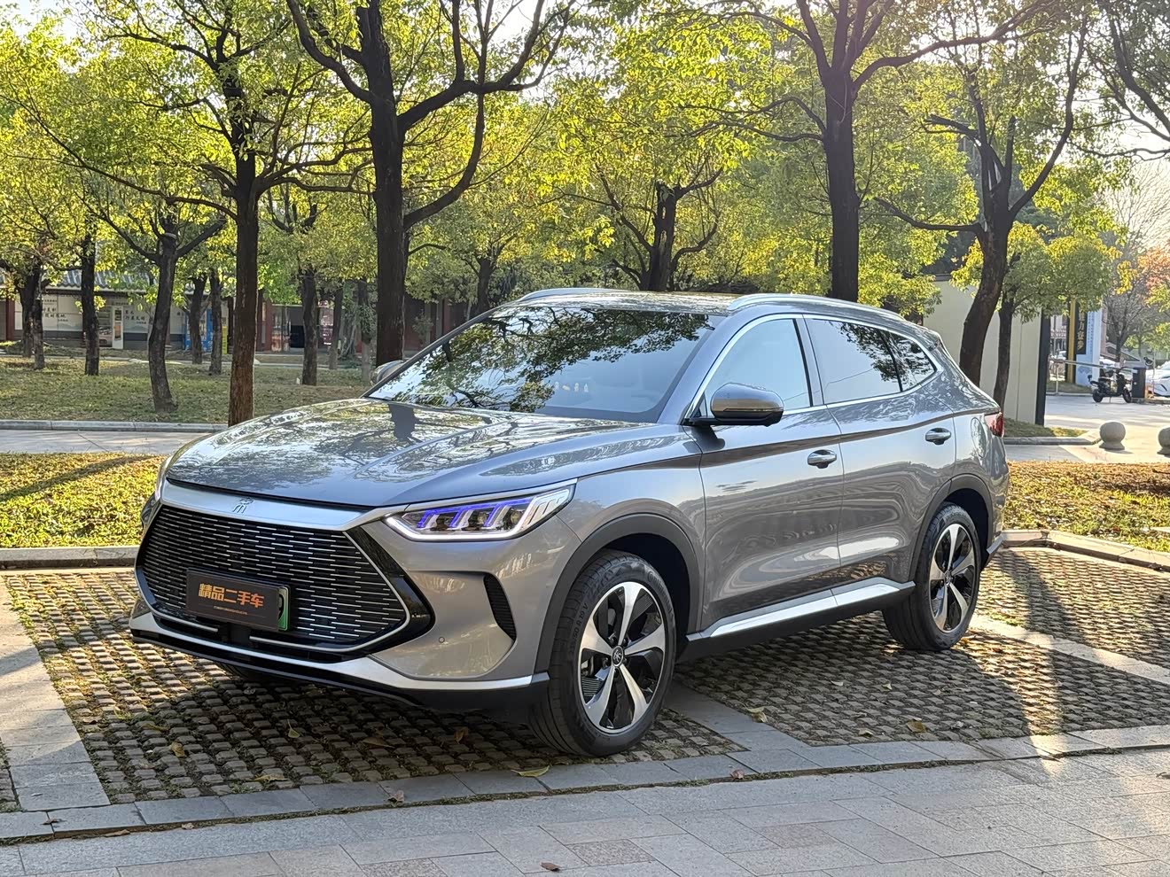 BYD Song Plus New Energy 2023 car image 