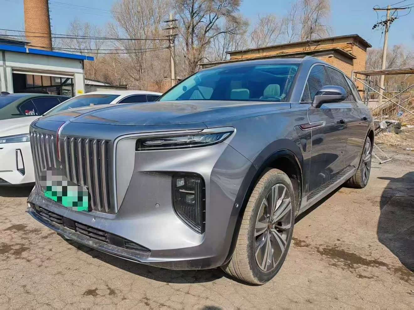 HongQi E-HS9 2021 car image 