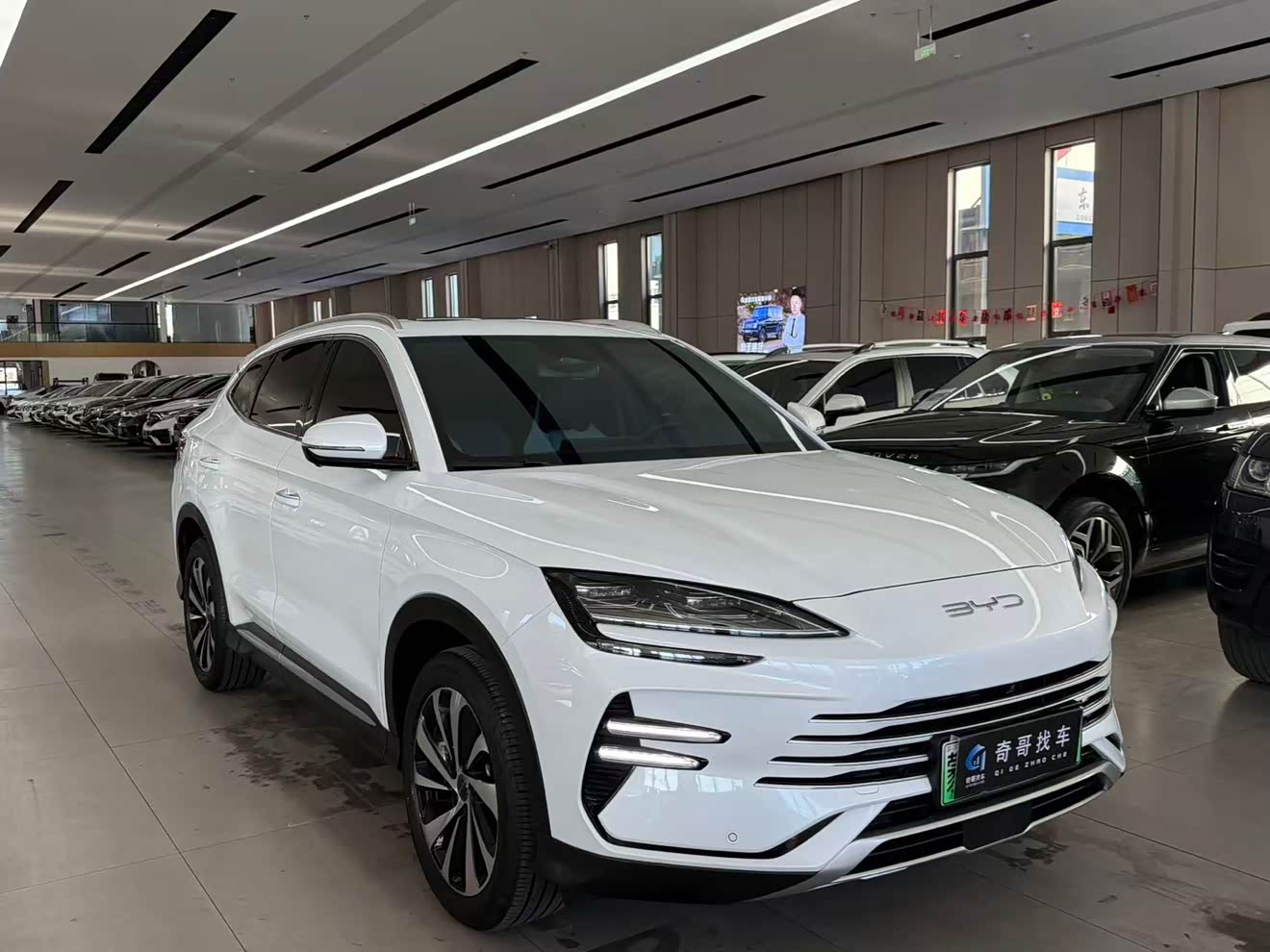 BYD Song Plus New Energy 2024 car image 
