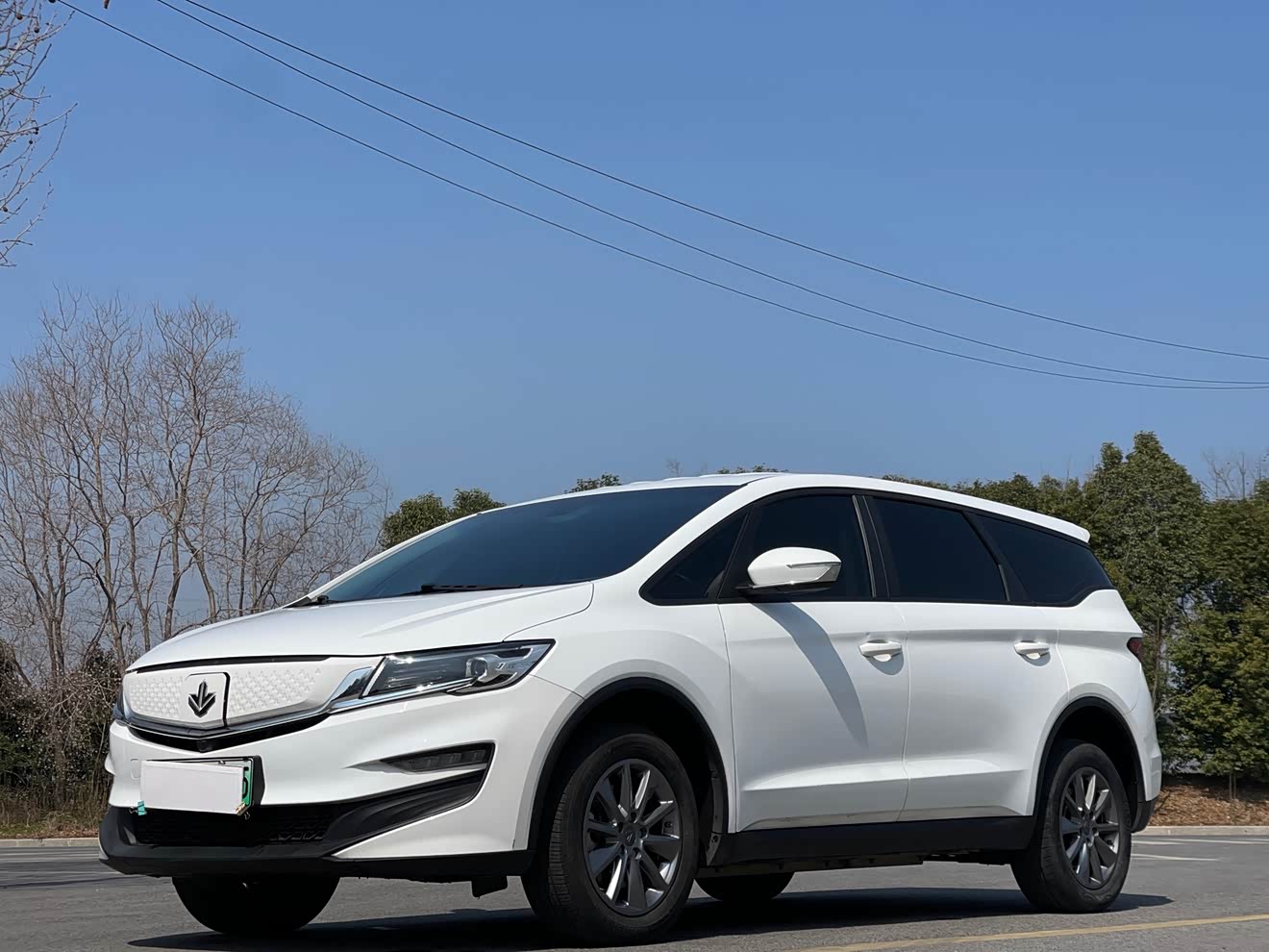 Livan Maple 80V 2020 汽车图片 