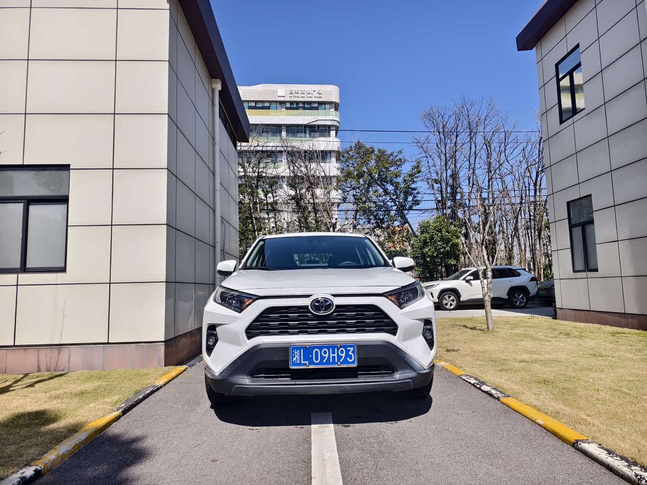 Toyota RAV4 2023 imagem de carro 