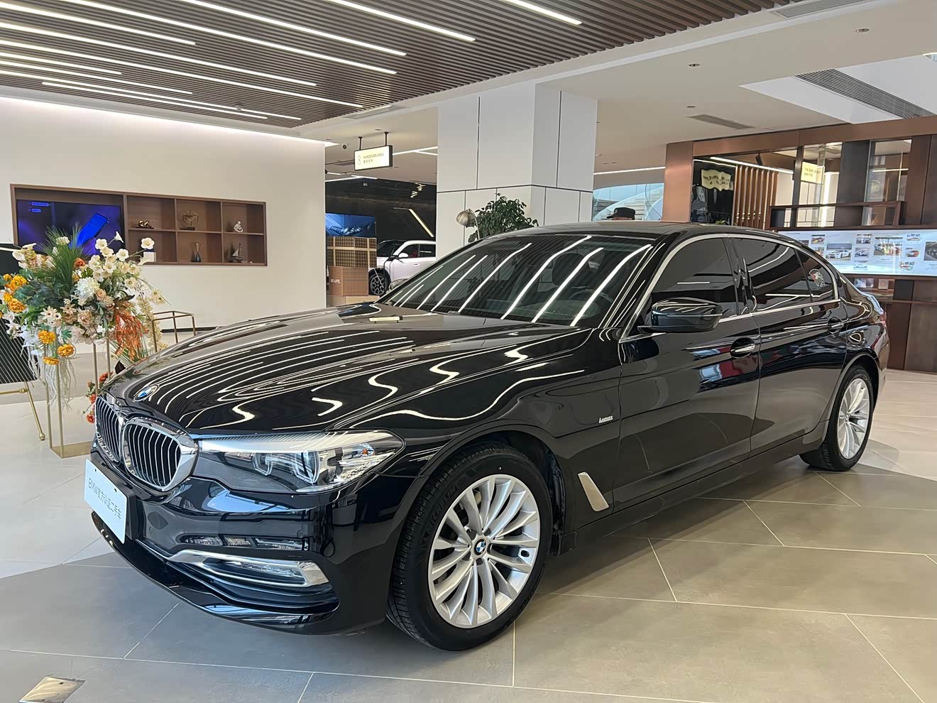 BMW 5 Series 2018 BMW 5 Series 2018 car image