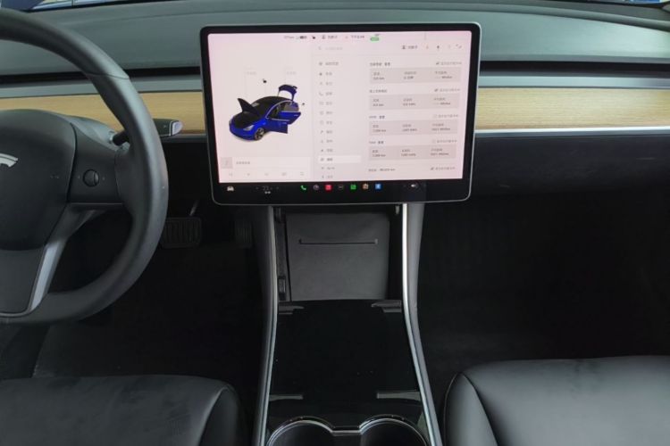 Tesla Model 3 2020 car image #13