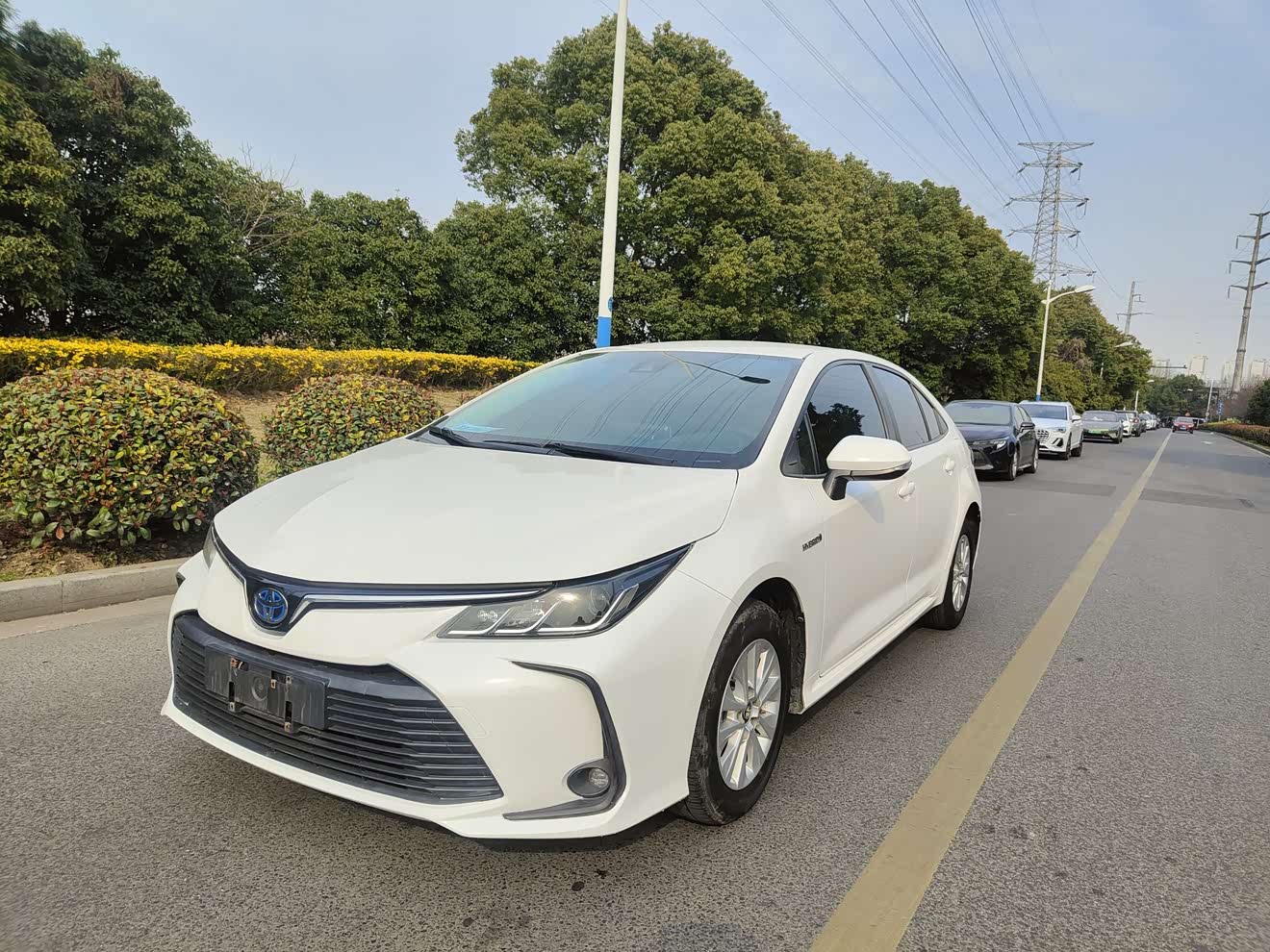Toyota Corolla 2022 Toyota Corolla 2022 car image