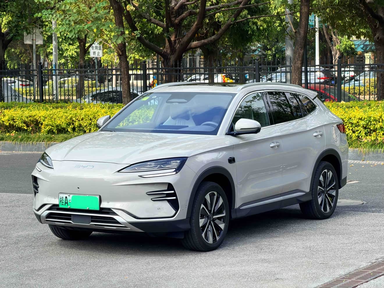 BYD Song Plus New Energy 2025 car image 