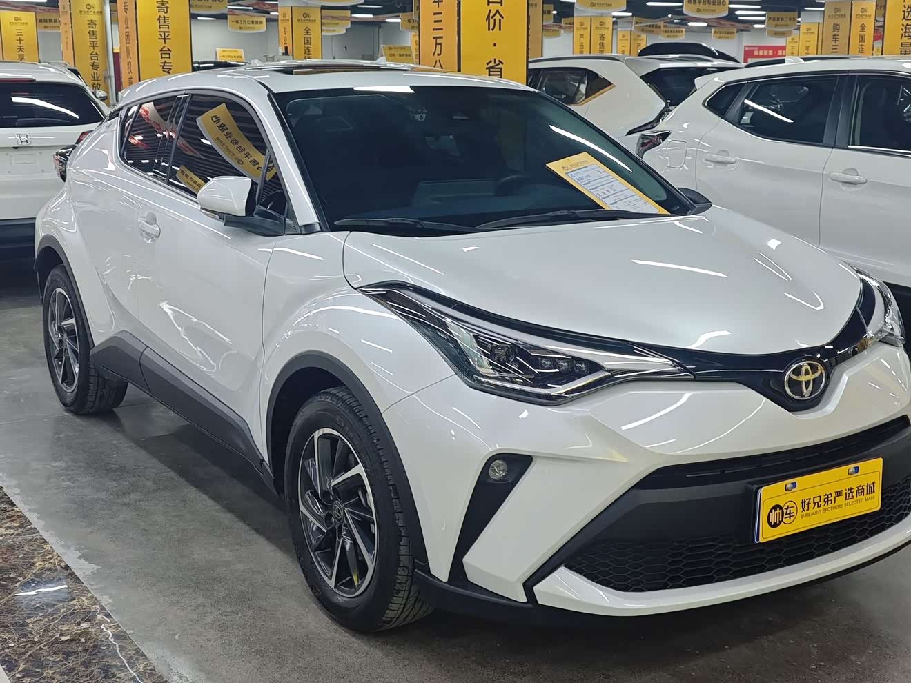 Toyota C-HR 2023 汽车图片 
