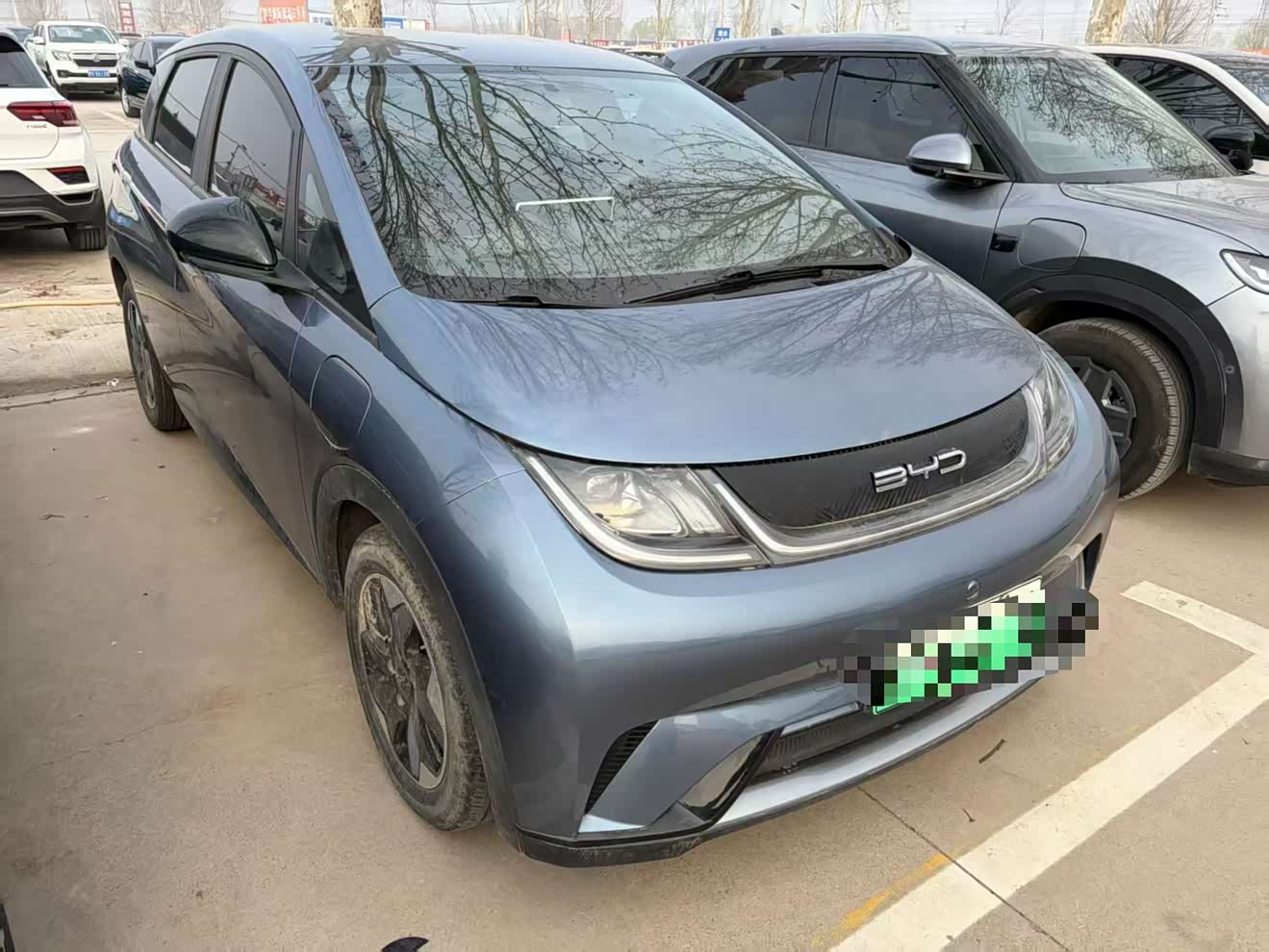 BYD Dolphin 2024 صورة سيارة 