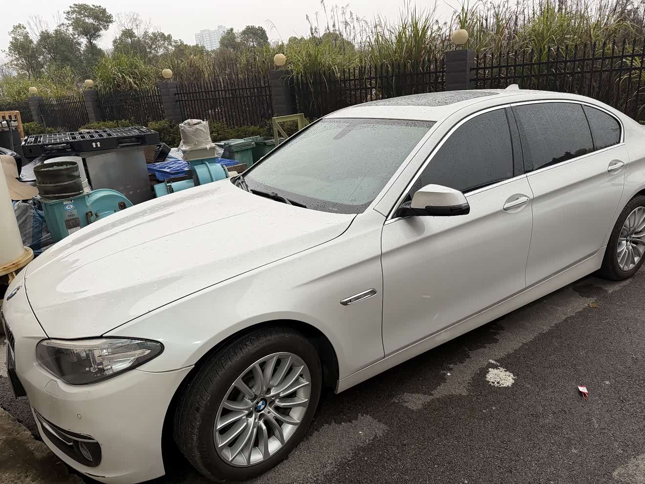 BMW 5 Series 2017 汽车图片 