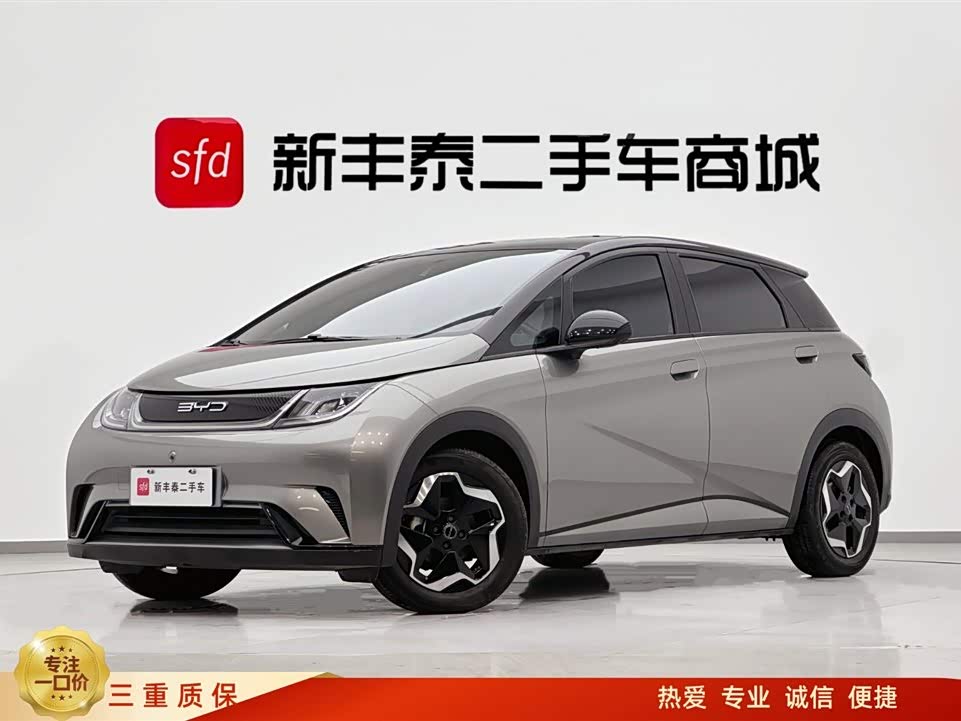 BYD Dolphin 2022 صورة سيارة 