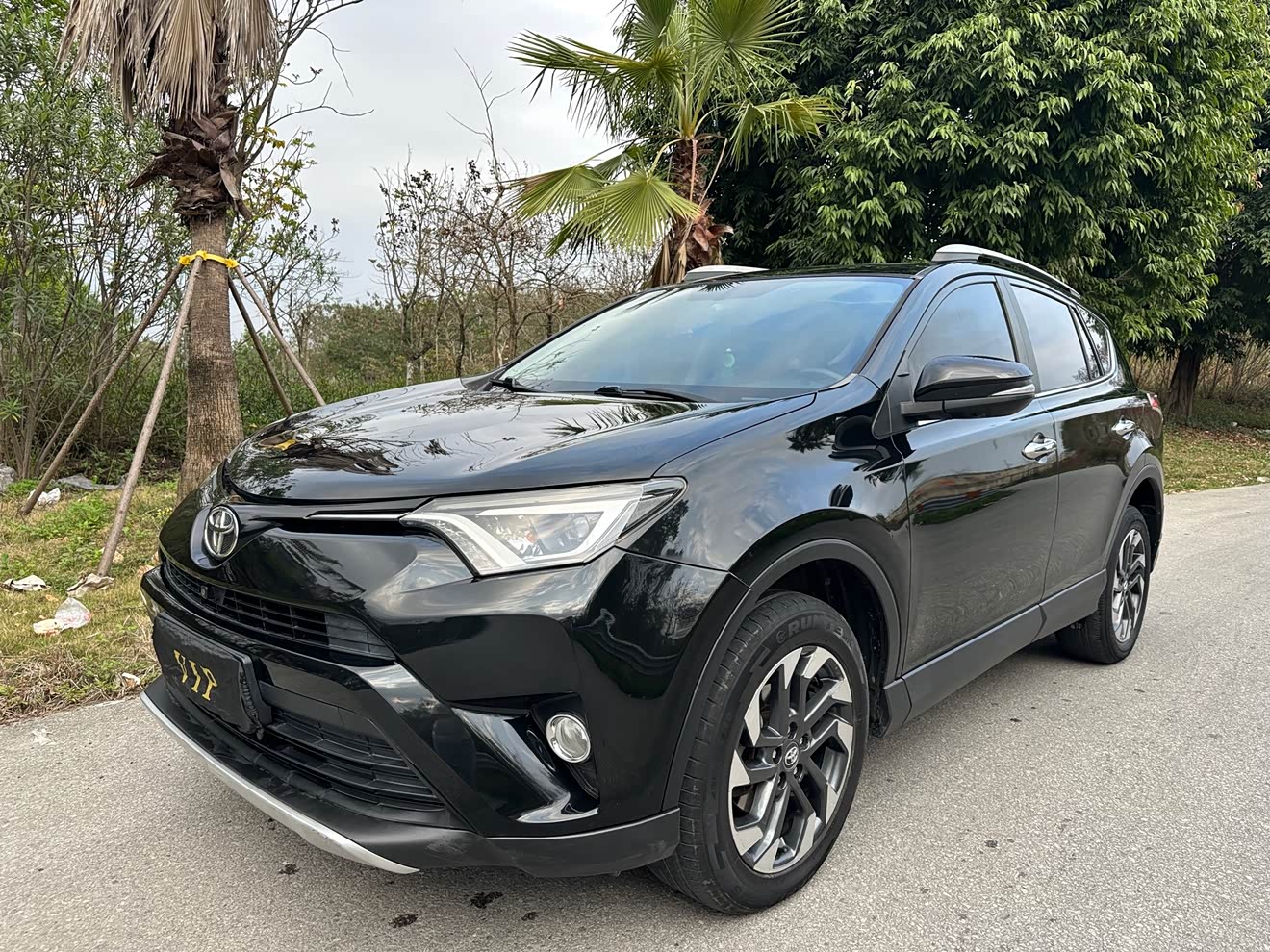 Toyota RAV4 2017 imagem de carro 