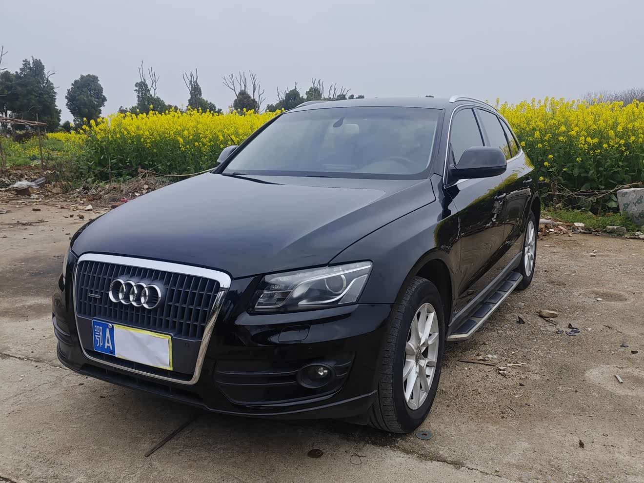 Audi Q5 2011 汽车图片 