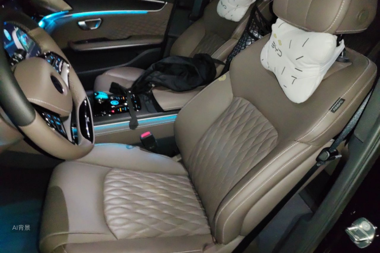 BYD Han 2023 car image #18