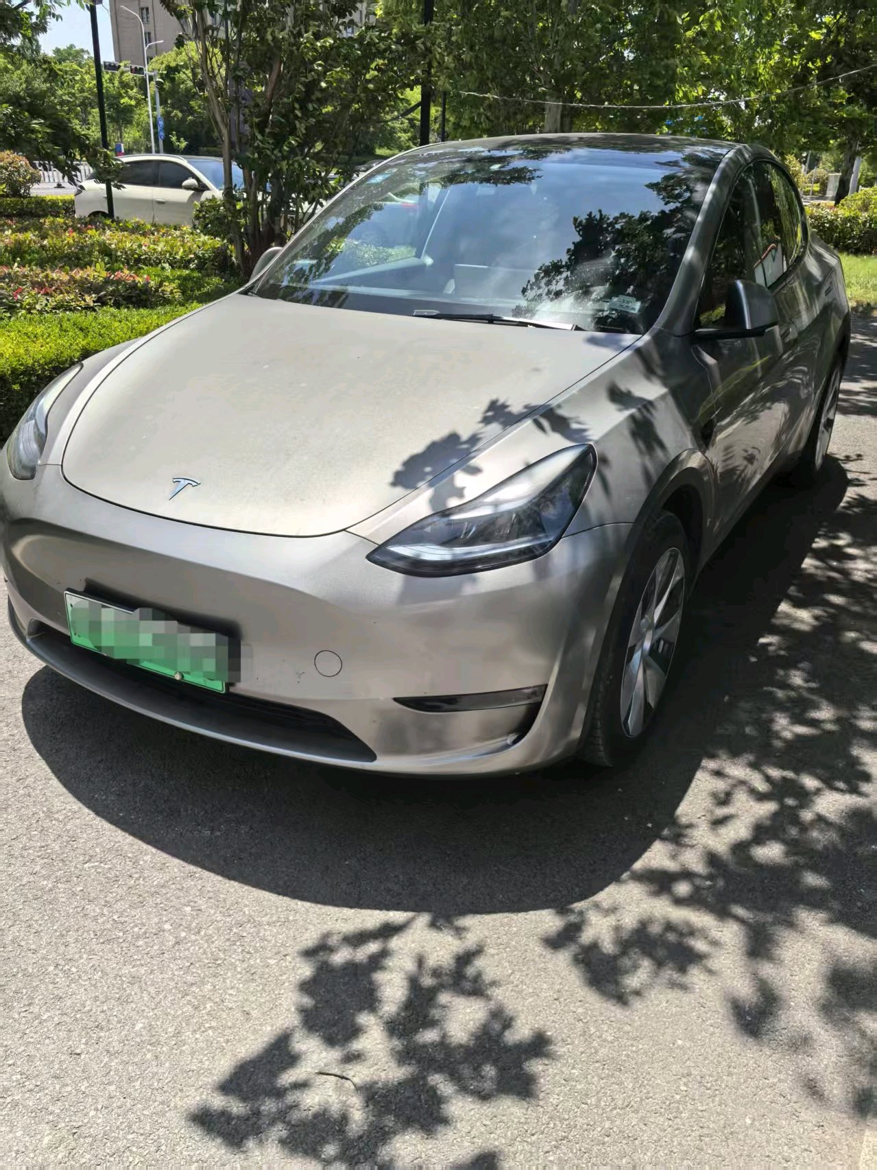Tesla Model Y 2023 Tesla Model Y 2023 car image