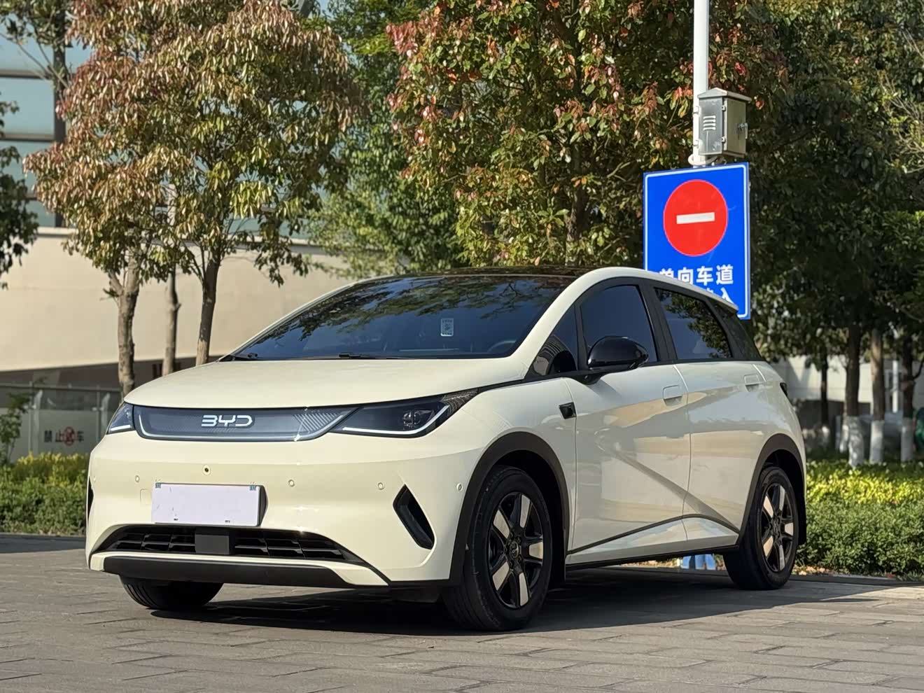 BYD Dolphin 2025 صورة سيارة 