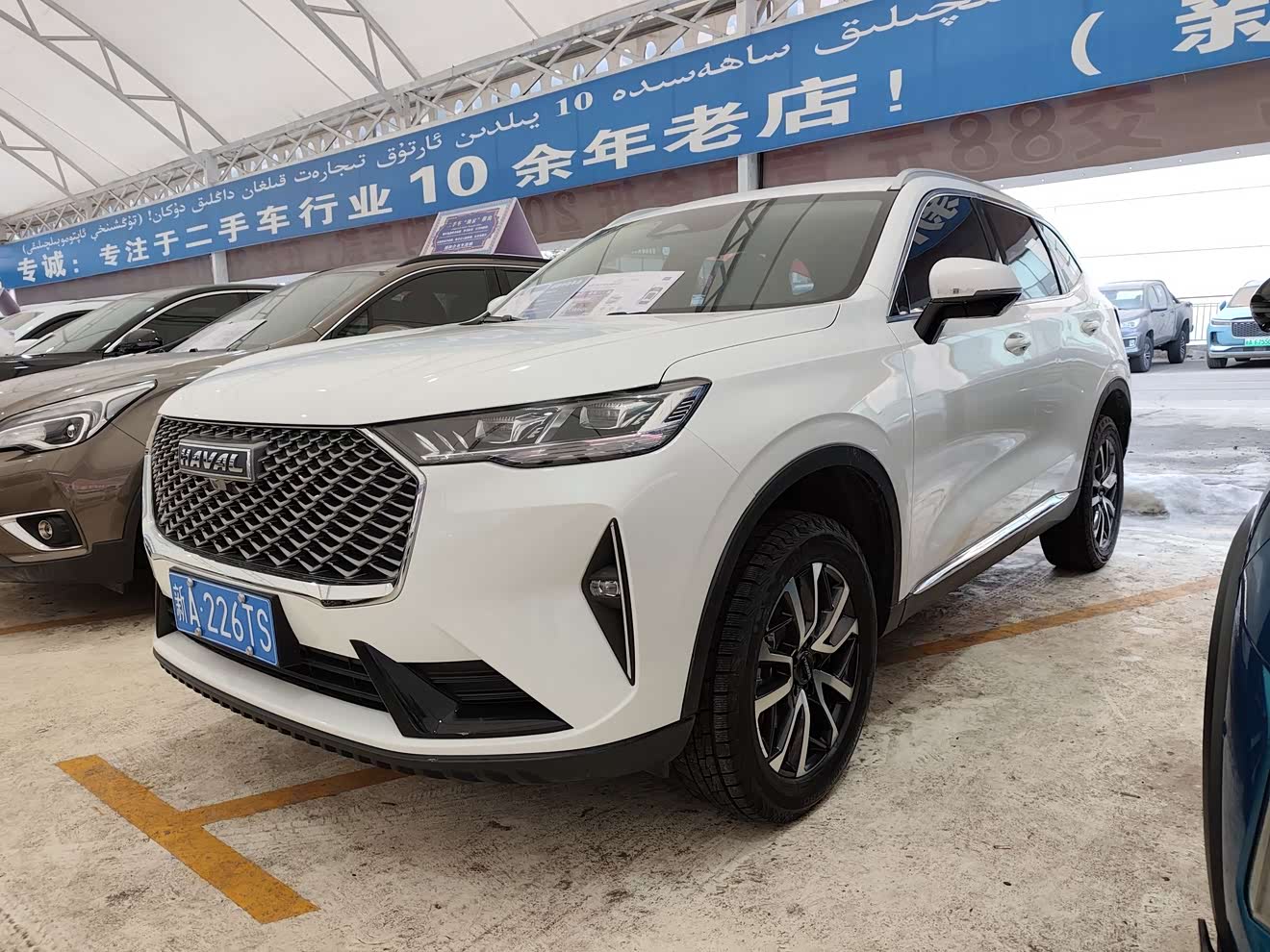 Haval H6 2023 汽车图片 