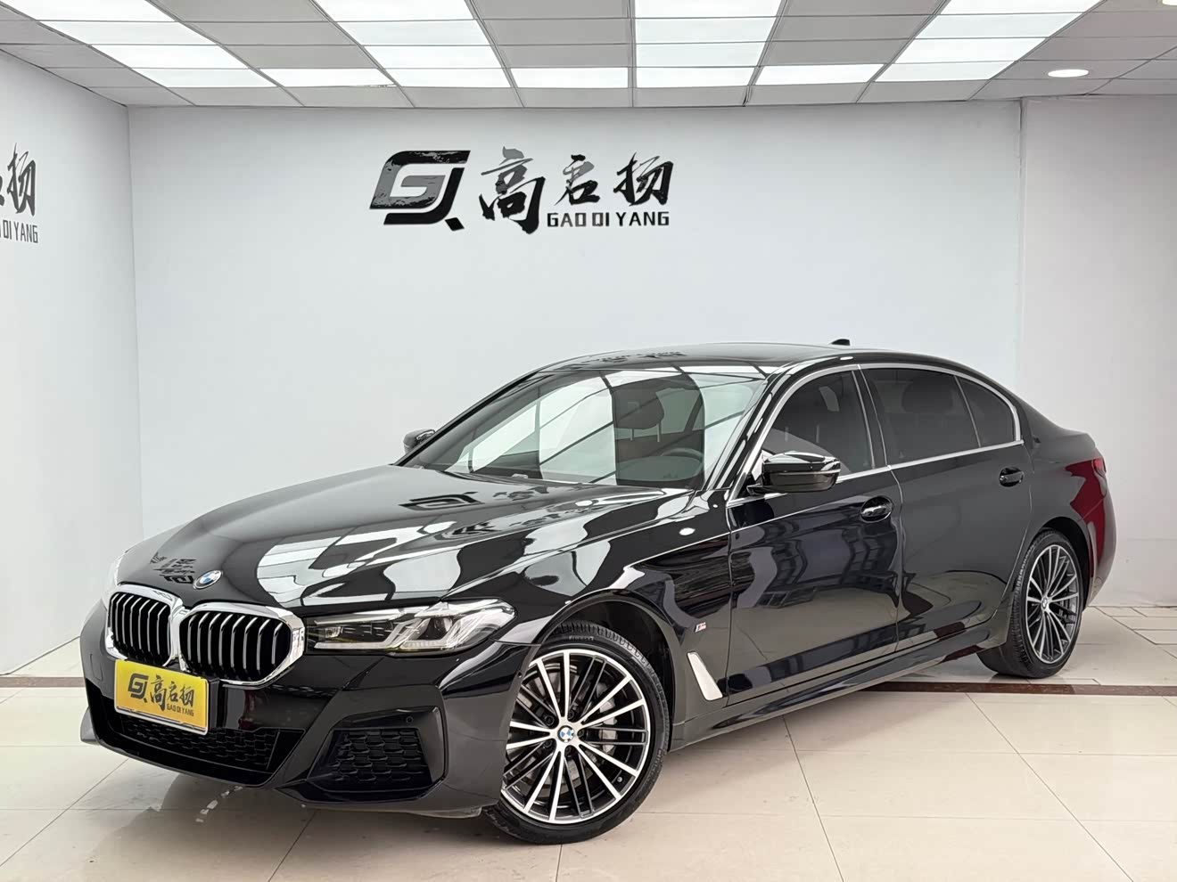 BMW 5 Series 2020 汽车图片 
