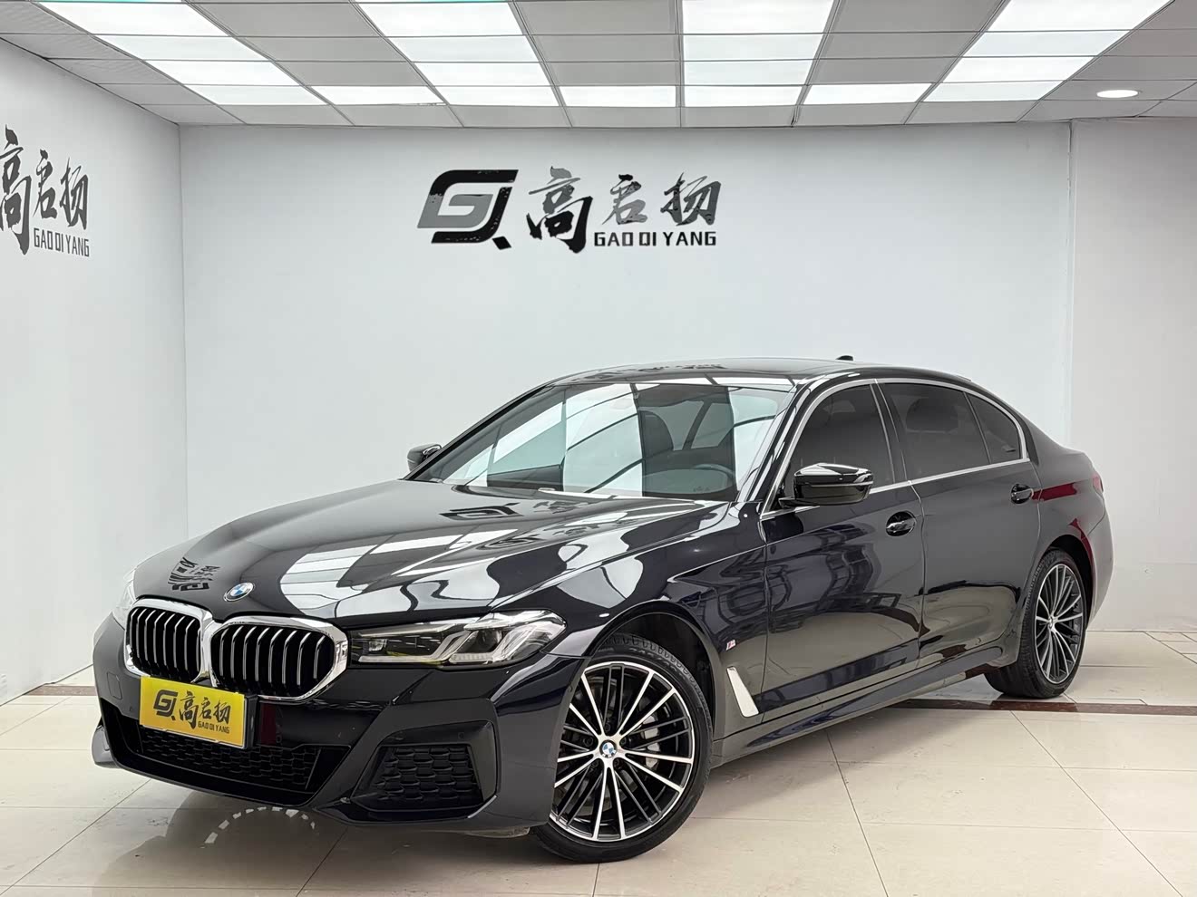 BMW 5 Series 2021 汽车图片 
