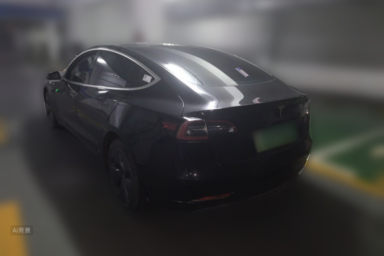 Tesla Model 3 2020 car image #5