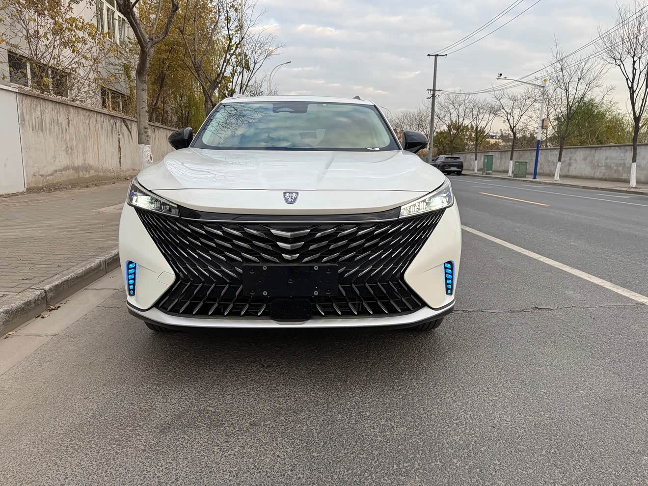 Roewe RX5 2021 汽车图片 